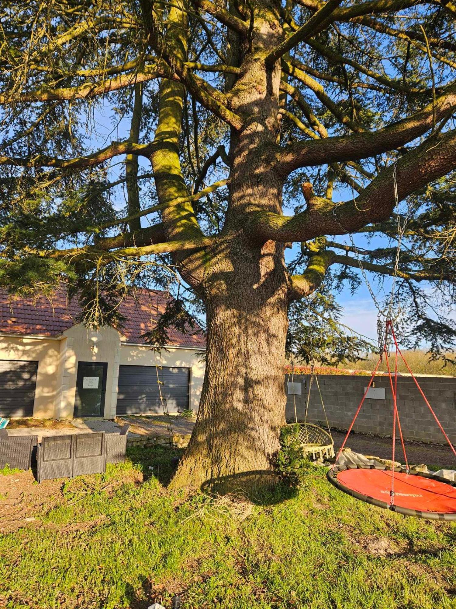 Studios Du Cedre Cuvilly エクステリア 写真